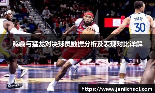 鹈鹕与猛龙对决球员数据分析及表现对比详解
